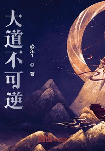 《大道不可逆》