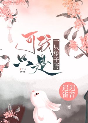 《可我只是一只兔子呀》