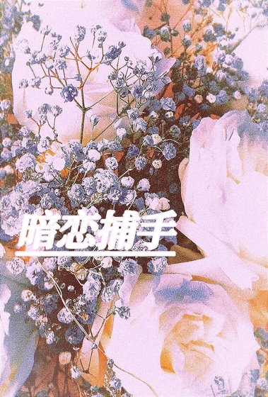 《暗戀捕手》