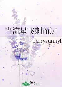《當流星飛刺而過》