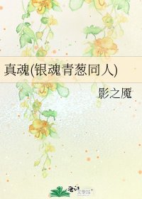 《真魂(银魂青葱同人)》