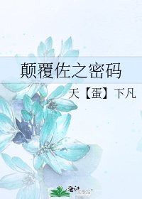 《顛覆佐之密碼》