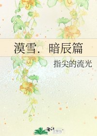 《漠雪.暗辰篇》