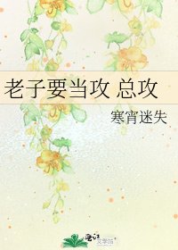 老子要当攻 总攻