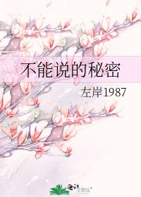 《不能說的秘密》