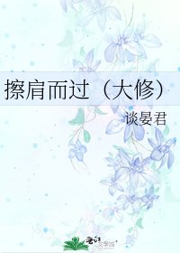 《擦肩而過(大修)》