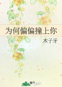 《為何偏偏撞上你》