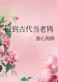 《回到古代當老鴇》