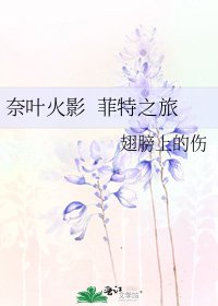 《奈叶火影 菲特之旅》