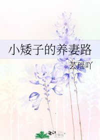 《小矮子的養妻路》