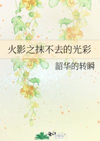 《火影之抹不去的光彩》
