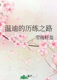 《温迪的历练之路》
