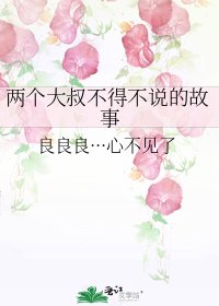 《两个大叔不得不说的故事》