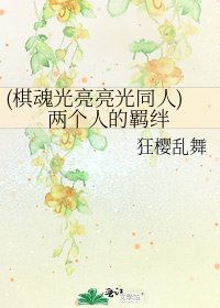 《(棋魂光亮亮光同人)两个人的羁绊》