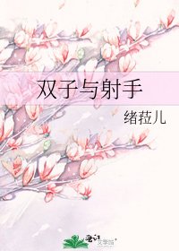 《双子与射手》