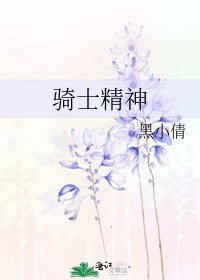 《骑士精神》