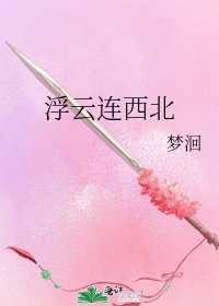 《浮雲連西北》