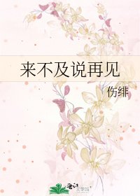《来不及说再见》