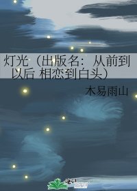 《燈光(出版名:從前到以後 相戀到白頭)》