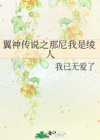 《翼神傳說之那尼我是綾人》