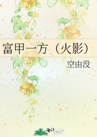 《富甲一方(火影)》