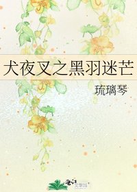 《犬夜叉之黑羽迷芒》