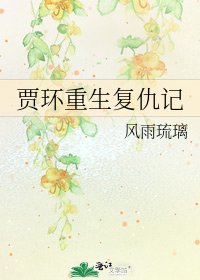 《贾环重生复仇记》