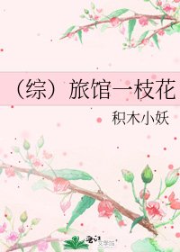 《(综)旅馆一枝花》