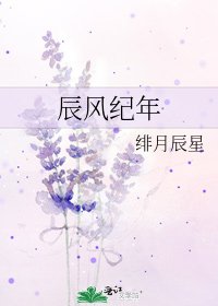 《辰風紀年》