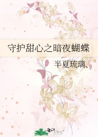 《守護甜心之暗夜蝴蝶》