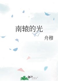 《南轅的光》