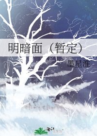 《明暗面(暫定)》