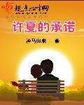 《許夏的承諾》