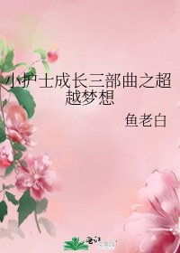 《小护士成长三部曲之超越梦想》