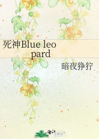 《死神Blue leopard》