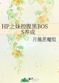 《HP之妹控腹黑BOSS养成》
