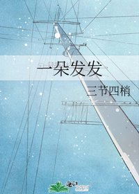 《一朵發發》