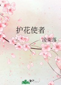 《护花使者》