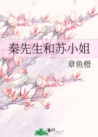 《秦先生和蘇小姐》