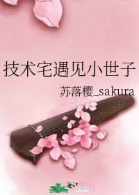 《技術宅遇見小世子》