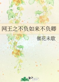 《網王之不負如來不負卿》