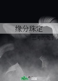 《缘分珠定》