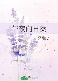 《午夜向日葵》