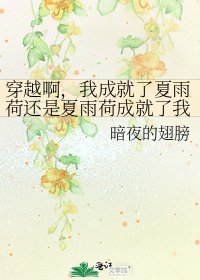 《穿越啊,我成就了夏雨荷還是夏雨荷成就了我》