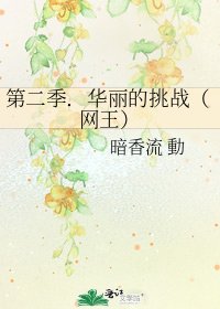 《第二季.华丽的挑战(网王)》