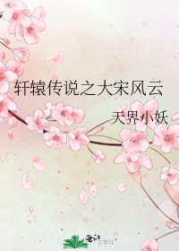 《軒轅傳說之大宋風雲》
