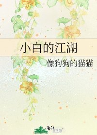 《小沙的江湖》