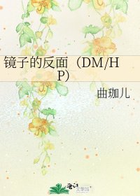 《鏡子的反面(DM/HP)》
