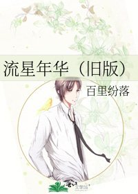 《流星年华(旧版)》