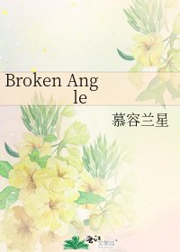《Broken Angle》